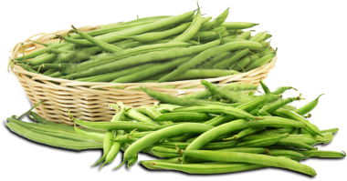 FrenchBeans